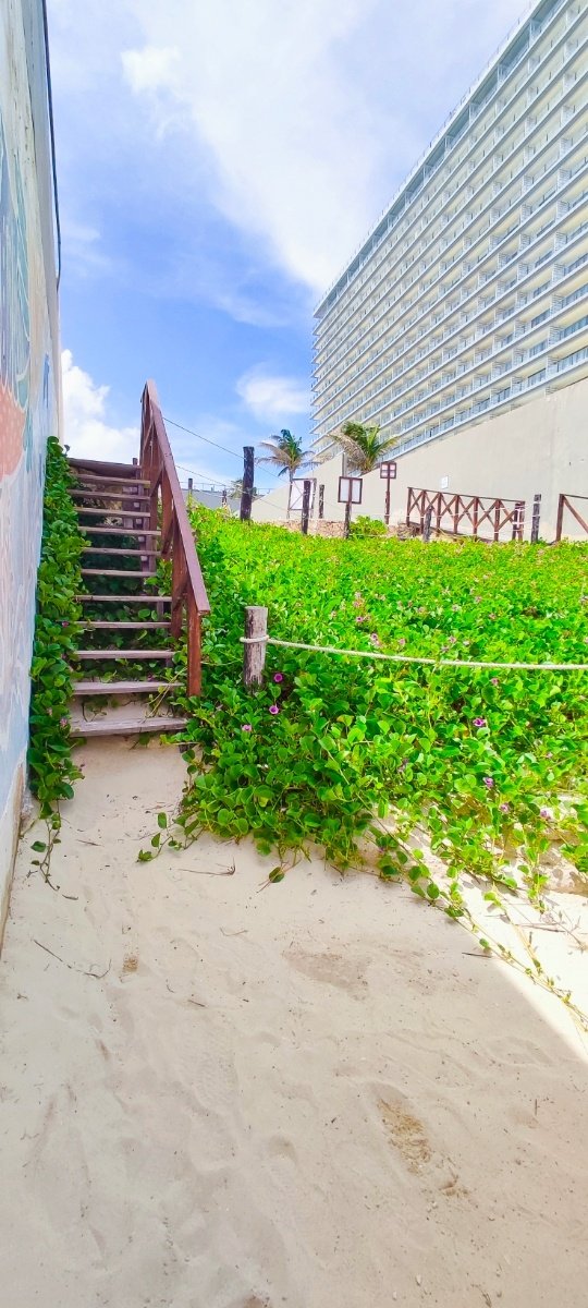 Escaleras de madera rodeadas de vegetación verde que conducen hacia la playa ballenas. © 2024 Castor Daniel Oregel Maldonado